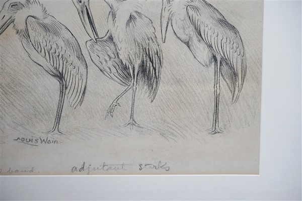 storks.6 (600 x 400)