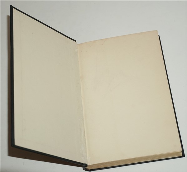 LALD.10 (600 x 553)